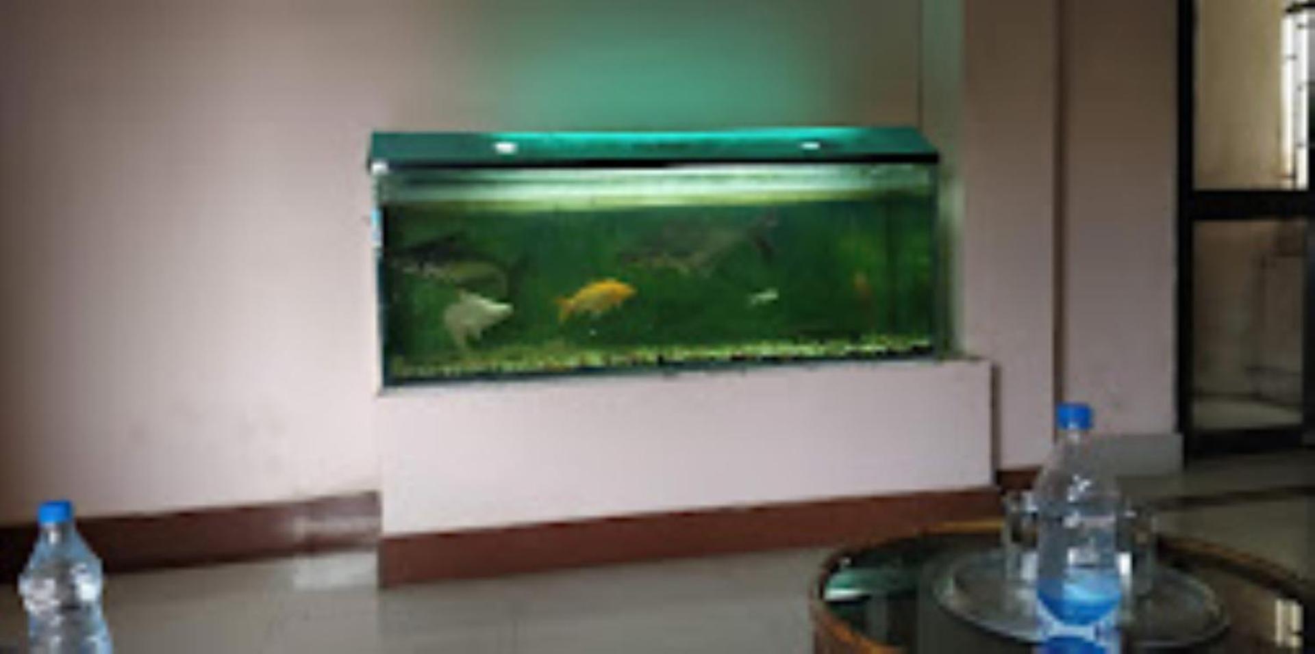 Hotel Blue Wheel,Bhubaneswar Exterior photo